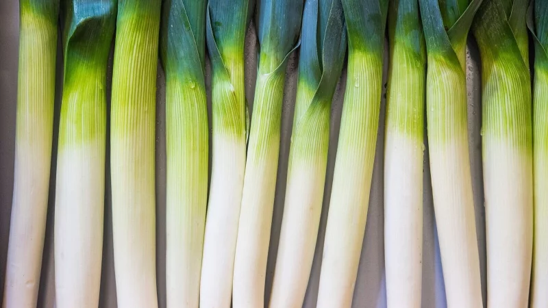 Bei der Frage, wie Lauch wirklich sauber wird, gehen die Meinungen auseinander. - &copy; Robert G&uuml;nther/dpa-tmn