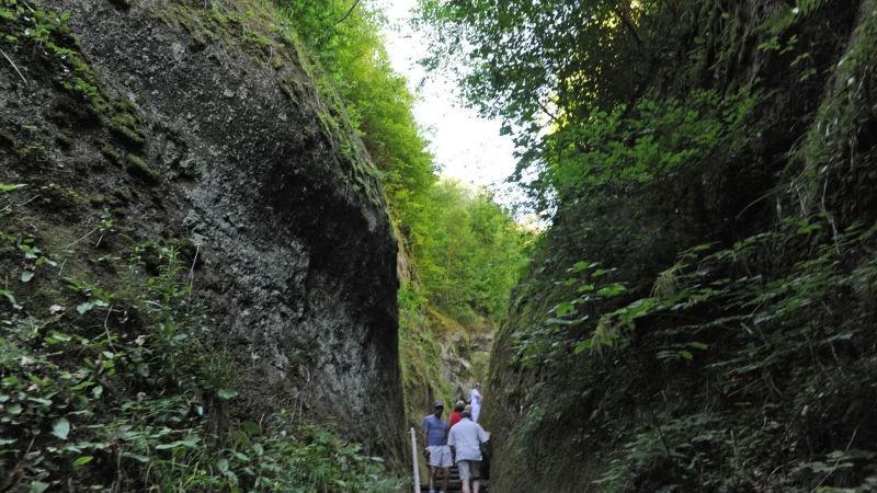 Die Marienschlucht ist seit 2015 gesperrt und der Zutritt verboten. Nun soll sie für Wanderer im kommenden Frühjahr wieder geöffnet werden. - © Patrick Seeger/dpa/dpa-tmn