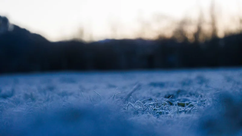 Der historische Krimi spielt in Freiburg. (Archivbild) - &copy; Philipp von Ditfurth/dpa