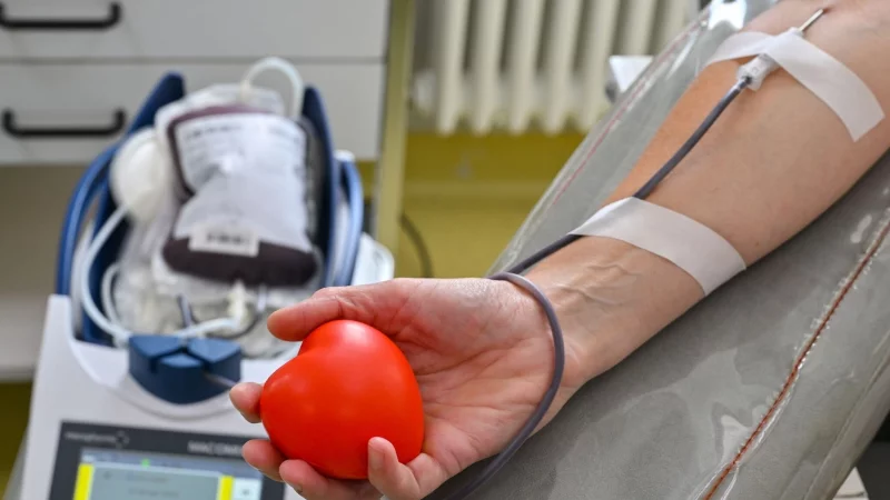 Nach Krankheit, Impfung oder Zahnbehandlung gilt: Erst die vorgeschriebene Pause einhalten, dann Blut spenden. - &copy; Patrick Pleul/dpa/dpa-tmn