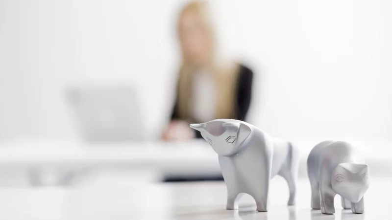 Erwartet uns 2026 ein Bullen- oder ein B&auml;renmarkt? F&uuml;r Anlegerinnen und Anleger w&auml;re es sch&ouml;n, das vorhersehen zu k&ouml;nnen. - &copy; picture alliance / Monique W&uuml;stenhagen/dpa-tmn