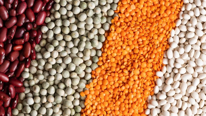 Die Kombination verschiedener pflanzlicher Eiwei&szlig;quellen sorgt daf&uuml;r, dass alle essenziellen Aminos&auml;uren aufgenommen werden. - &copy; Silas Stein/dpa/dpa-tmn