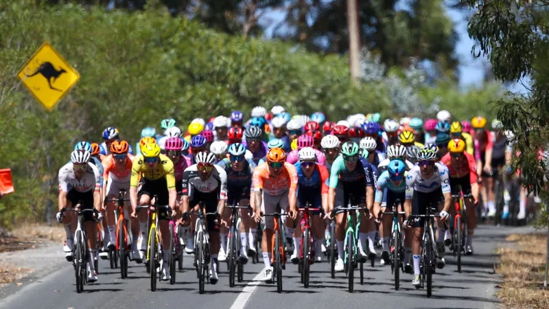 Zwei K&auml;ngurus l&ouml;sten auf der letzten Etappe der Tour Down Under einen Crash aus. - &copy; Matt Turner/AAP/dpa
