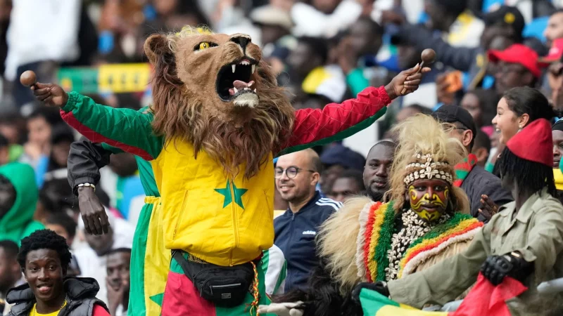 Senegalesische Fans beim Spiel im Afrika Cup gegen den Sudan. Eine Anh&auml;ngerin kam zuvor bei einem Verkehrsunfall ums Leben. - &copy; Mosa\\\'ab Elshamy/AP/dpa