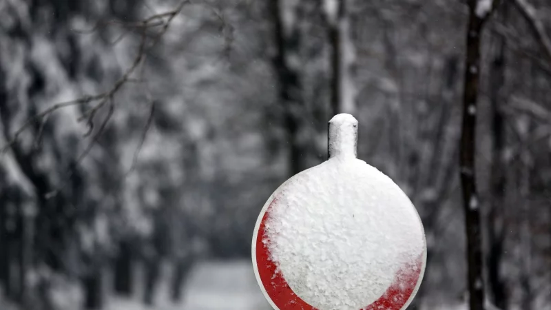 Tempolimits und andere runde Schilder sind bei starker Verschneiung oft nicht mehr erkennbar: Eine Befolgung kann dann nicht immer erwartet werden. - &copy; Ina Fassbender/dpa-tmn