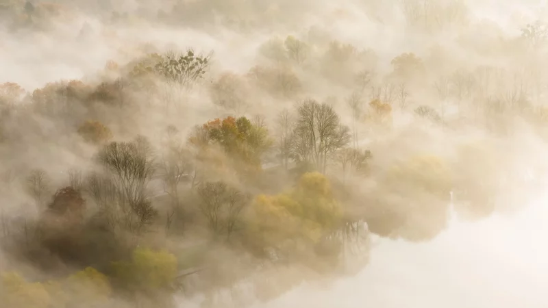 Auch bei Nebel lassen sich atmosph&auml;rische Fotos machen. - &copy; Julian Stratenschulte/dpa/dpa-tmn