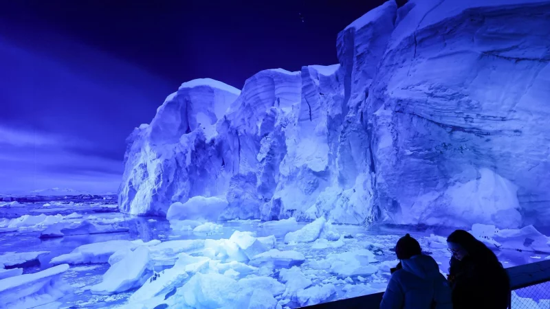 Die eisige und faszinierende Welt der Antarktis wird als 360-Grad-Bild gezeigt - &copy; Jan Woitas/dpa