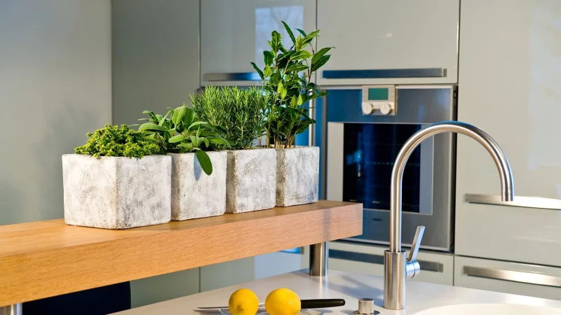 Gr&uuml;ne Frische in der K&uuml;che: Im Winter lassen sich viele Kr&auml;uter auch in hellen Innenr&auml;umen erfolgreich anbauen. - &copy; GMH/dpa-tmn