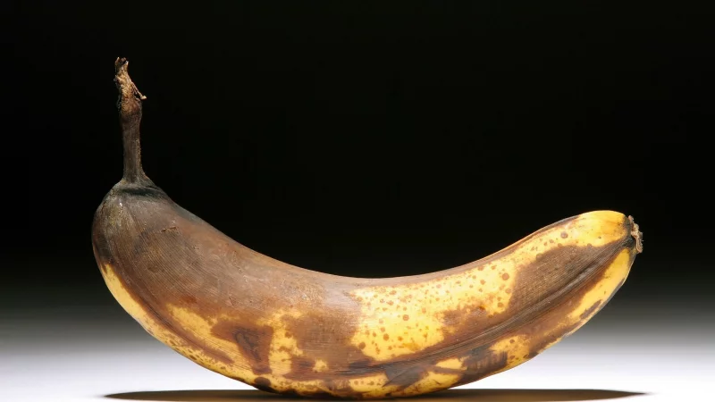 &Uuml;berreife Bananen enthalten Alkohol: je brauner die Schale, desto h&ouml;her der Alkoholgehalt durch nat&uuml;rliche G&auml;rung. - &copy; Heiko Wolfraum/dpa/dpa-tmn