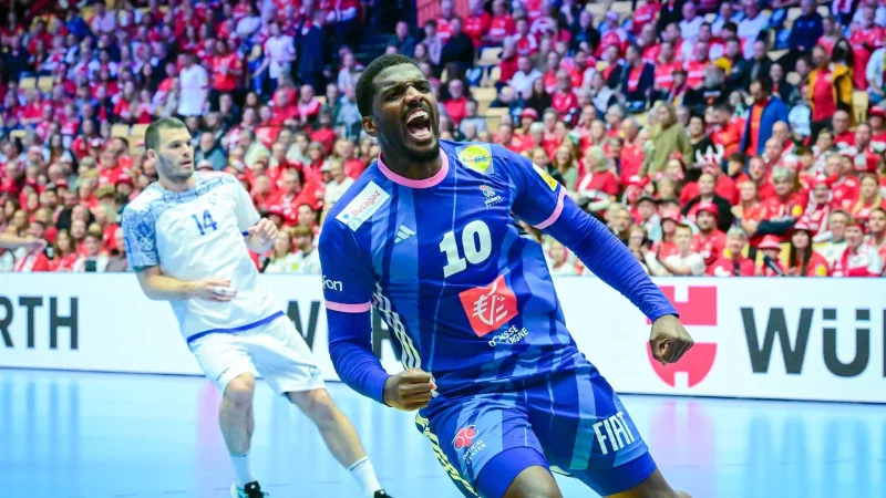 Starspieler Dika Mem war bester Spieler bei den Franzosen. - &copy; Sina Schuldt/dpa