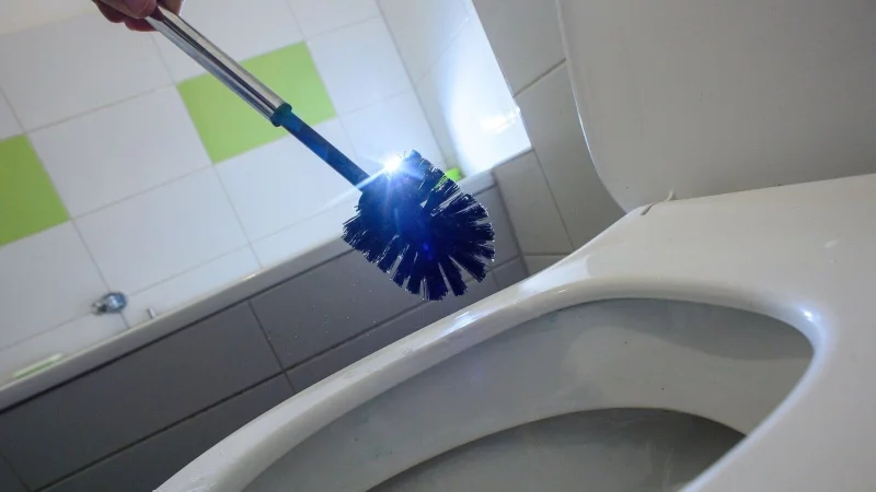 Die Klobürste putzt den Schmutz weg, für Kalkbeläge muss ein WC-Reiniger her. Welcher säubert die Toilette wirklich gut? - © Klaus-Dietmar Gabbert/dpa-tmn