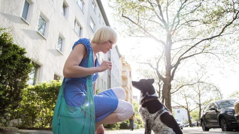 Ein gutes Hundetraining basiert auf Vertrauen - nicht auf Gewalt und Zwang. - &copy; Christin Klose/dpa-tmn