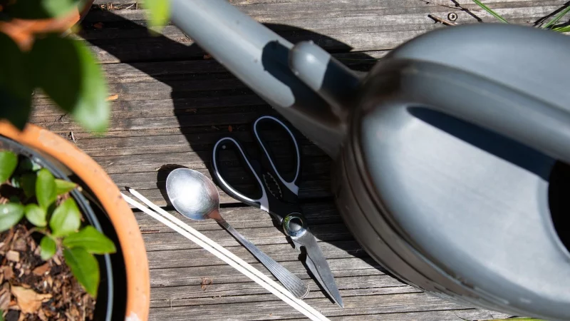 Gießen ohne Brausekopf: Lässt sich mit einem Löffel an der Gießkanne eine größere Fläche bewässern? - © Christin Klose/dpa-tmn