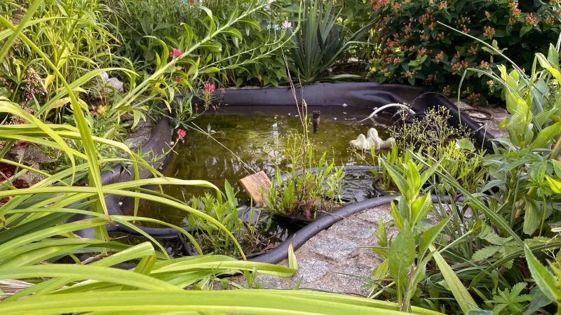 Miniteiche sind dekorativ und beleben G&auml;rten und Terrassen. - &copy; Julia Bresching/dpa-tmn