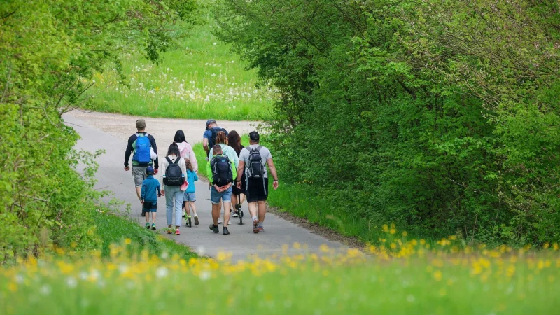 Zecken, Grasmilben und Co.: Im Grünen sind jetzt wieder kleine Plagegeister unterwegs, die man kennen sollte. - © Thomas Warnack/dpa/dpa-tmn