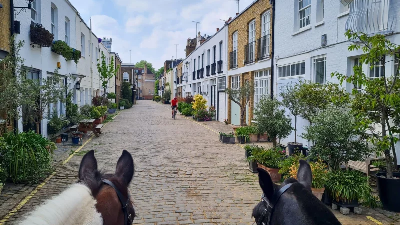Die Hyde Park Gardens Mews: fr&uuml;her das Zuhause der Pferde und Bediensteten - heute gefragte Immobilien. - &copy; D&ouml;rte Nohrden/dpa-tmn