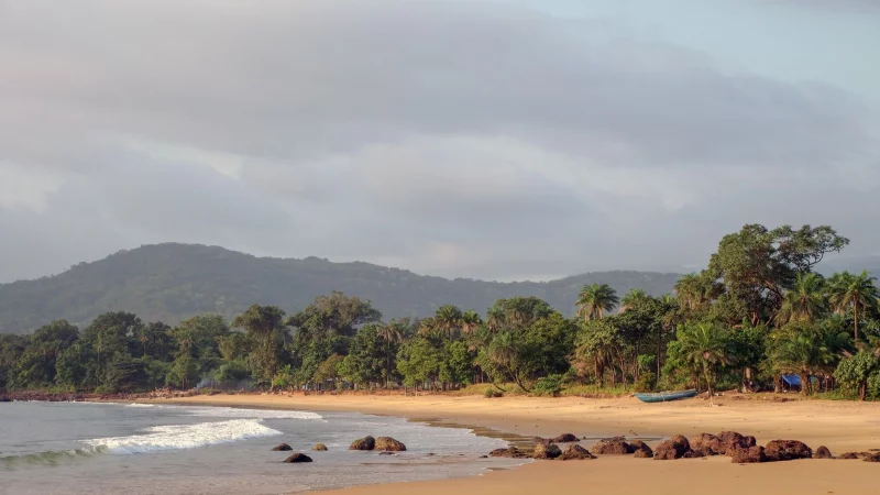 Unweit von Freetown liegen Traumstr&auml;nde wie der Black Johnson Beach. - &copy; Julian Hilgers/dpa-tmn