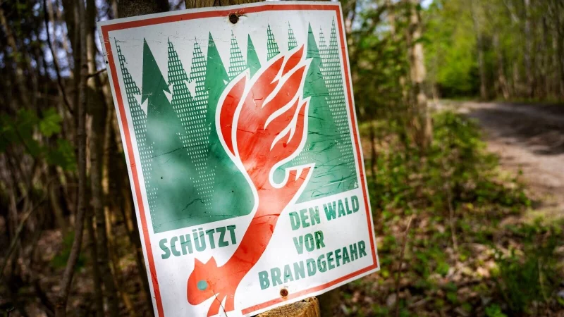 Höchste Alarmstufe im Wald: In Teilen Deutschlands gilt Gefahrenstufe 5 und schon ein Funke kann zur Katastrophe führen. - © Stefan Sauer/dpa