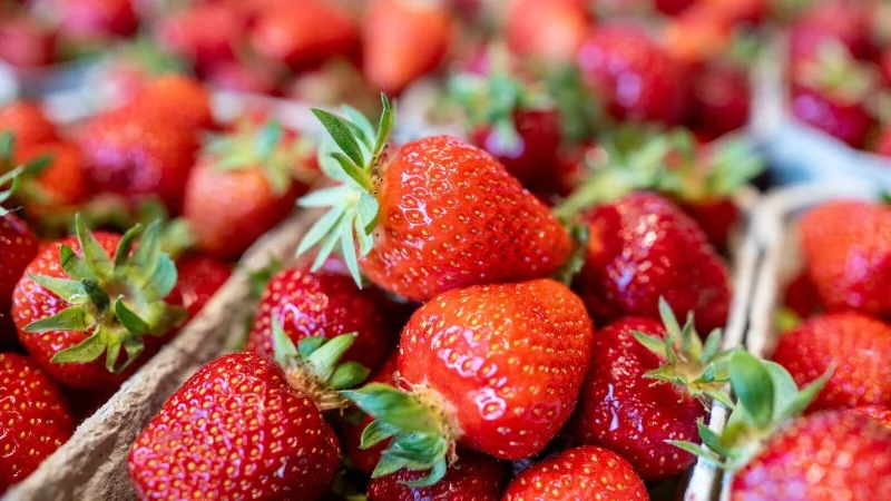 Sauber und sicher: Stiftung Warentest fand in keiner der zwölf Erdbeerproben gesundheitlich bedenkliche Rückstände. - © Armin Weigel/dpa/dpa-tmn