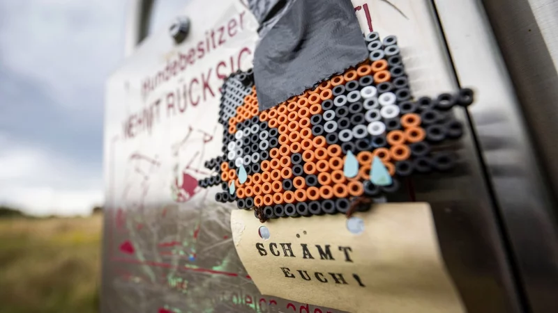 Scham kann l&auml;hmen &ndash; entscheidend ist der konstruktive Umgang mit ihr und den eigenen Fehlern. - &copy; Marijan Murat/dpa/dpa-tmn