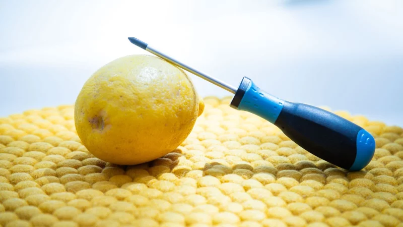 Lässt sich eine Zitrone mit Hilfe eines Schraubendrehers besser auspressen? - © Christin Klose/dpa-tmn