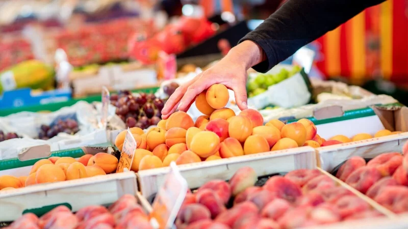 Perfekt reife Aprikosen haben ein saftiges Fruchtfleisch und ein süßsäuerliches Aroma. - © Hauke-Christian Dittrich/dpa/dpa-tmn