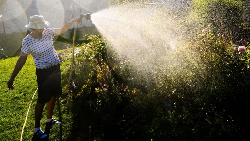 Besser Grauwasser nutzen: Wer seine Pflanzen im Garten gießt, verbraucht sonst im Sommer viel Trinkwasser. - © Julian Stratenschulte/dpa