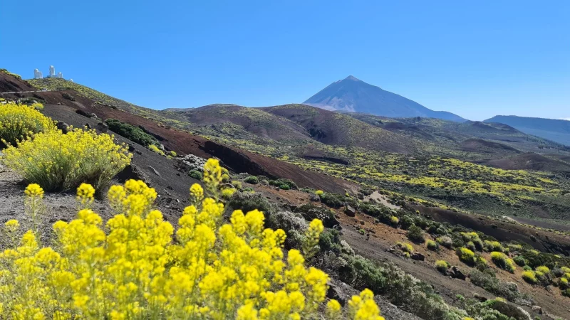 Der Berg Teide auf Teneriffa ist nur eines der Highlights der Kanarischen Inseln. - &copy; Isabelle Modler/dpa-tmn