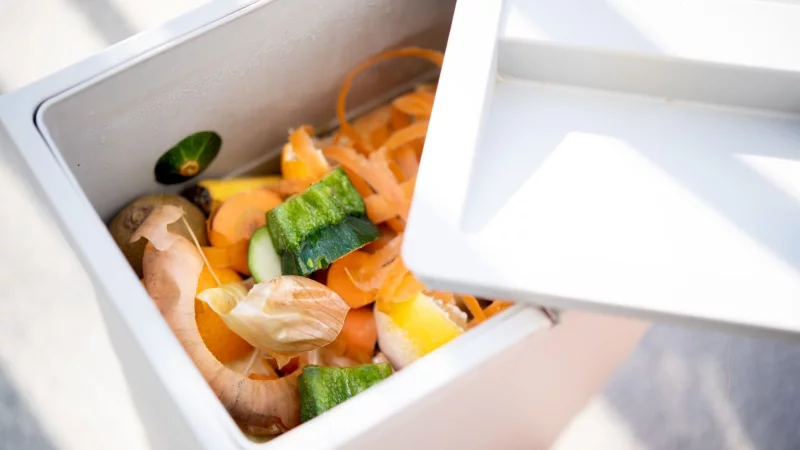 Ob roh, gekocht oder verdorben: Essensreste finden ihren Platz im Biomüll. - © Zacharie Scheurer/dpa-tmn