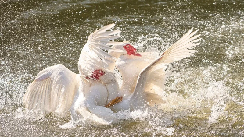 Streit geh&ouml;rt zum Leben dazu: Er kann zwar schmerzhaft sein, wirkt aber oft als Katalysator f&uuml;r mehr Verst&auml;ndnis und N&auml;he - &copy; Thomas Frey/dpa/dpa-tmn