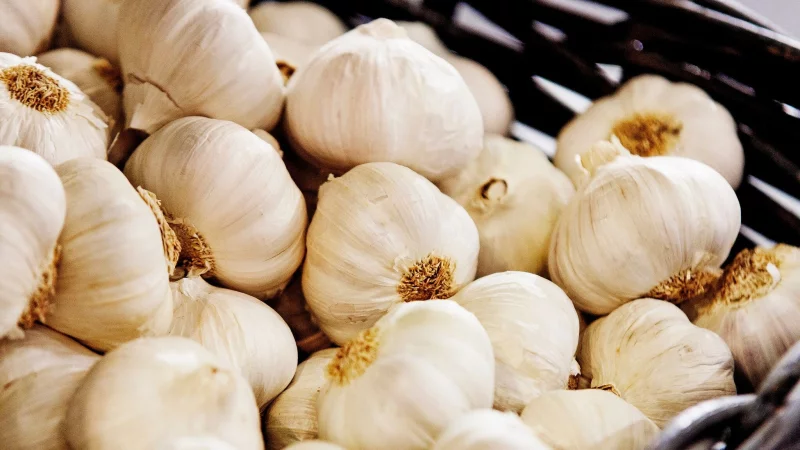 Knoblauch kommt in vielen Rezepten zum Einsatz. Je nach Technik riecht man ihn nach dem Verzehr. - © Monique Wüstenhagen/dpa-tmn