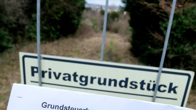 Überhöhte Werte für unbebautes Land angesetzt? Dann kann sich ein Einspruch gegen den Grundsteuerwertbescheid lohnen. - © Bernd Weißbrod/dpa/dpa-tmn
