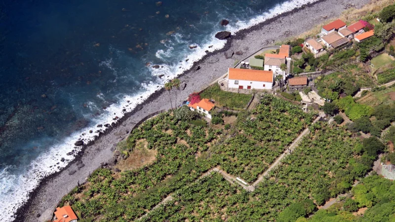 Gilt als die Wiege des Madeira-Weins: das Weingut Fajã dos Padres, geschützt gelegen vor einer steilen Felswand an der Küste. - © Manuel Meyer/dpa-tmn