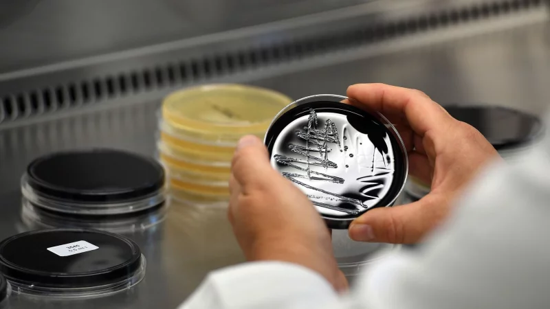 Werden Legionellen im Trinkwasser festgestellt, sind die Kosten f&uuml;r die Ursachenforschung und die Beseitigung des Befalls in der Regel vom Vermieter zu tragen. - &copy; Federico Gambarini/dpa/dpa-tmn