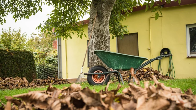 Ruhe vor dem Sturm: Bevor die st&uuml;rmische Jahreszeit beginnt, sollten die B&auml;ume auf dem Grundst&uuml;ck gr&uuml;ndlich in Augenschein genommen werden. - &copy; Christin Klose/dpa-tmn