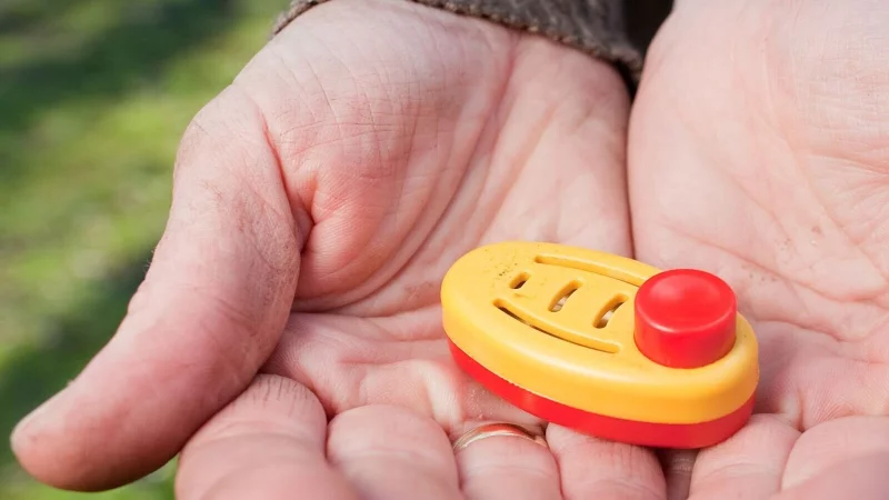 Training mit System: Beim Clickertraining wird erw&uuml;nschtes Verhalten der Katze gezielt belohnt, ganz ohne Strafen. - &copy; Klaus-Dietmar Gabbert/dpa-tmn