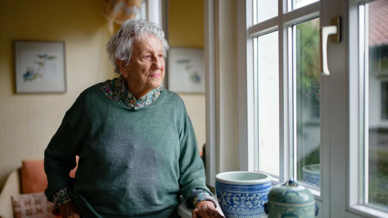 Erst mit Mitte 50 begann Ingrid Noll mit dem Schreiben. - &copy; Uwe Anspach/dpa