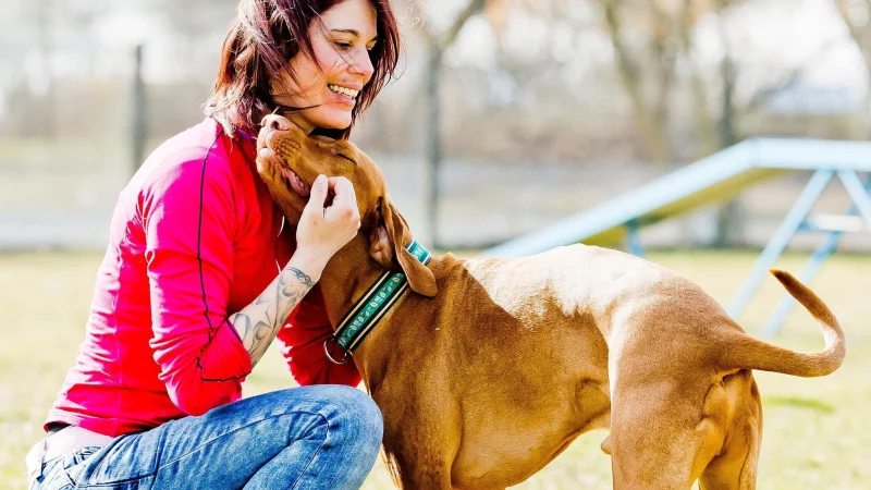 Perfektes Match? Für jede Art von Mensch gibt es die richtige Hunderasse. - © Monique Wüstenhagen/dpa.tmn/dpa-tmn