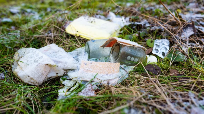 M&uuml;ll im Wald schadet der Natur und gef&auml;hrdet Tiere sowie Pflanzen. Wer den Wald besucht, sollte Abf&auml;lle deshalb immer wieder mitnehmen und sachgerecht entsorgen. - &copy; Philipp Schulze/dpa