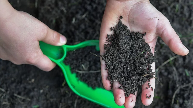 Klebrig? Formbar? Haftend? Die Fingerprobe kann Hinweise auf die Bodenart geben. - &copy; Patrick Pleul/dpa/dpa-tmn