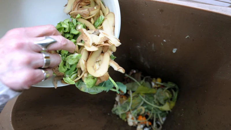 Am besten entsorgt man den Biomüll gut abgetropft in die Biotonne, denn je trockener der Müll, desto weniger Gestank und Ungeziefer entstehen. - © Peter Steffen/dpa