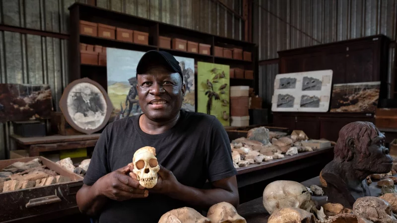 Nach der Wiederer&ouml;ffnung der Sterkfontein Caves sollen Besucherinnen und Besucher einen noch direkteren Einblick in die wissenschaftliche Arbeit erhalten, die diesen Ort seit fast 100 Jahren pr&auml;gt. - &copy; Brett Eloff/Wits University/dpa-tmn