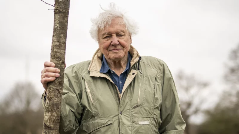 Sir David Attenborough, Naturforscher und Tierfilmer aus Großbritannien (Archivbild). - © Aaron Chown/PA Wire/dpa