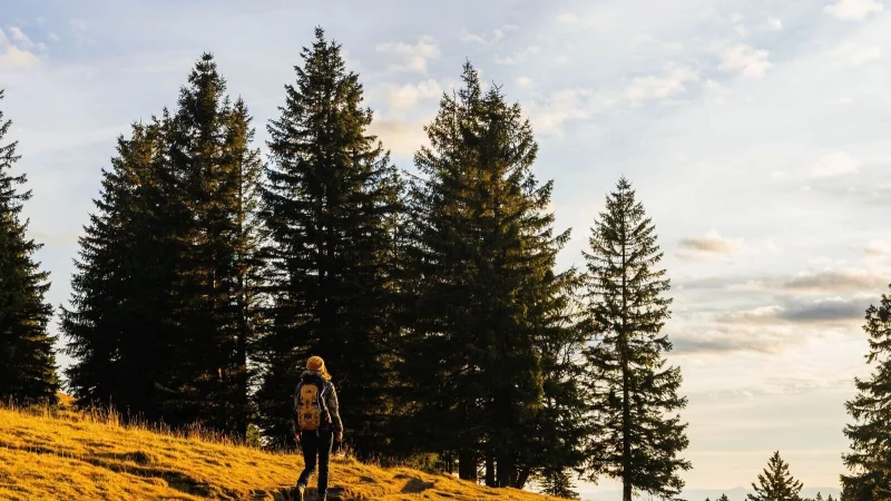 Herbstwandern in den Bergen: Klare Luft und bunte Bl&auml;tter bieten zu dieser Jahreszeit eine beeindruckende Kulisse. - &copy; Philipp von Ditfurth/dpa/dpa-tmn