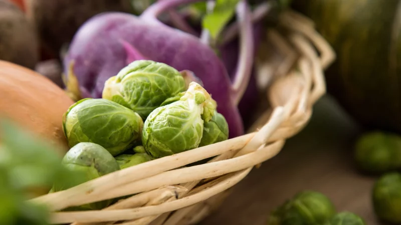 Wer in der kargen Jahreszeit eine bunte Auswahl an Wintergemüse haben will, sollte jetzt mit dem Pflanzen loslegen. - © Christin Klose/dpa-tmn