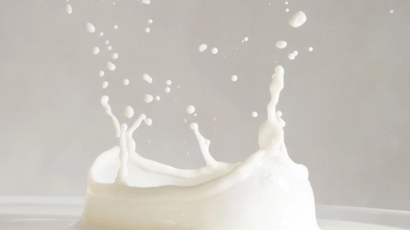 Unbehandelt klingt erst mal gut - doch f&uuml;r die g&auml;ngigen Versprechen von Rohmilch gibt es keine wissenschaftlichen Belege. - &copy; Franziska Gabbert/dpa-tmn