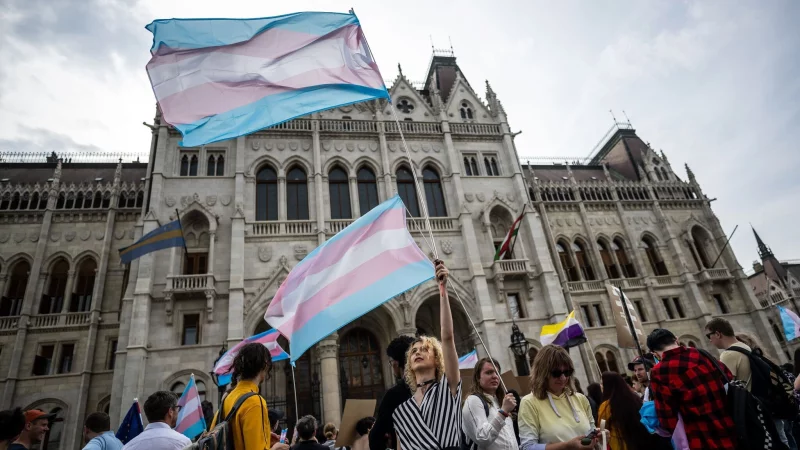 Fünf waagrecht verlaufende Streifen in den Farben Blau, Rosa und Weiß: Menschen schwenken bei einer Trans Pride Parade Transgender-Fahnen. - © Marton Monus/dpa
