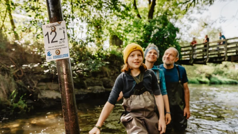 Wathose an und hinein ins Wasser: Der Eisvogelsteig f&uuml;hrt durch den Fluss Chamb. - &copy; Thomas Linkel/erlebe.bayern/dpa-tmn