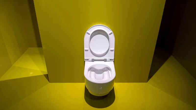 Trödelt der Vermieter mit der Reparatur einer defekten Toilette, können Mieter die Instandsetzung in Eigenregie veranlassen. - © Andrea Warnecke/dpa-tmn