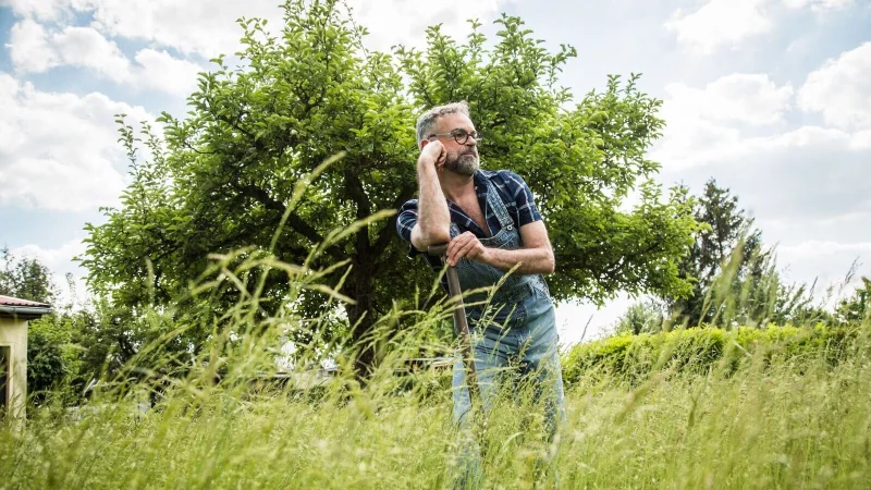 Wer eine Grünfläche im Garten haben will, hat viele Optionen: Rasen, Wiese - oder Kräuterrasen. - © Christin Klose/dpa-tmn